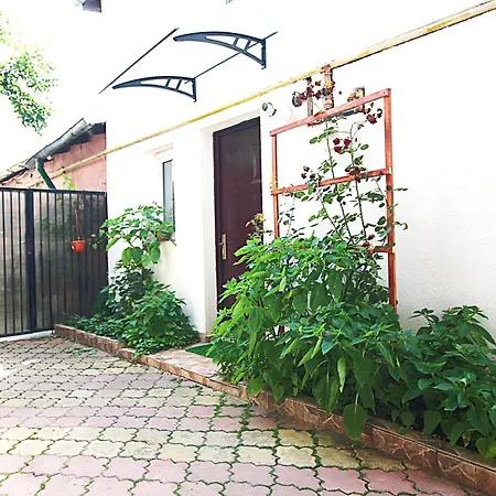 Studio House * Bukarest